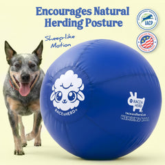 Race&Herd 25-inch XXL ball with durable rubber for outdoor use