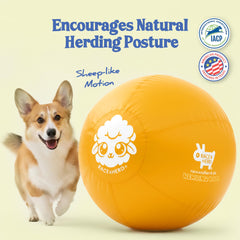 Race&Herd XXL Herding Ball in action; ideal for fetch and training.