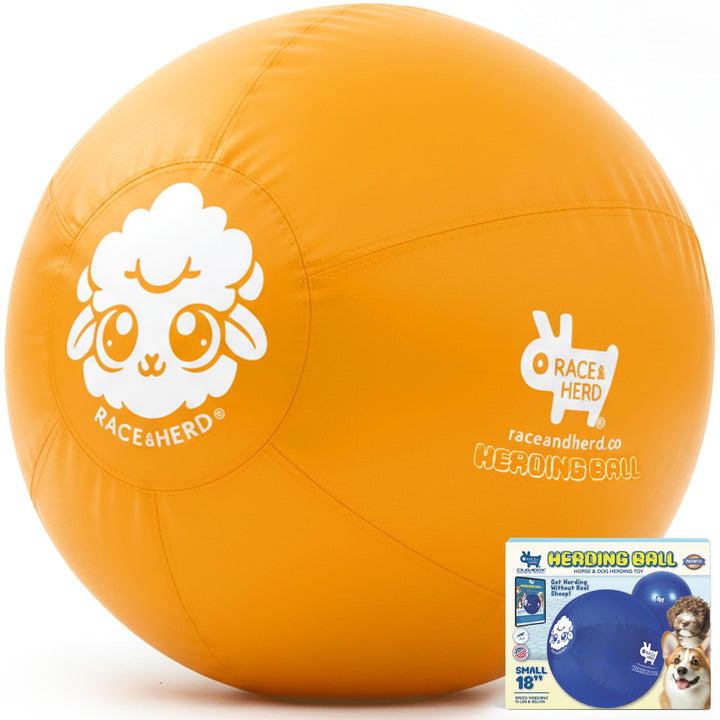 Race&Herd XXL Herding Ball front view for outdoor play.
