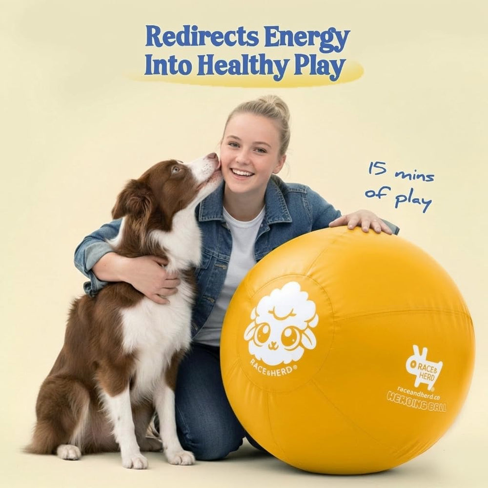 Race&Herd chew-resistant construction supports long backyard sessions
