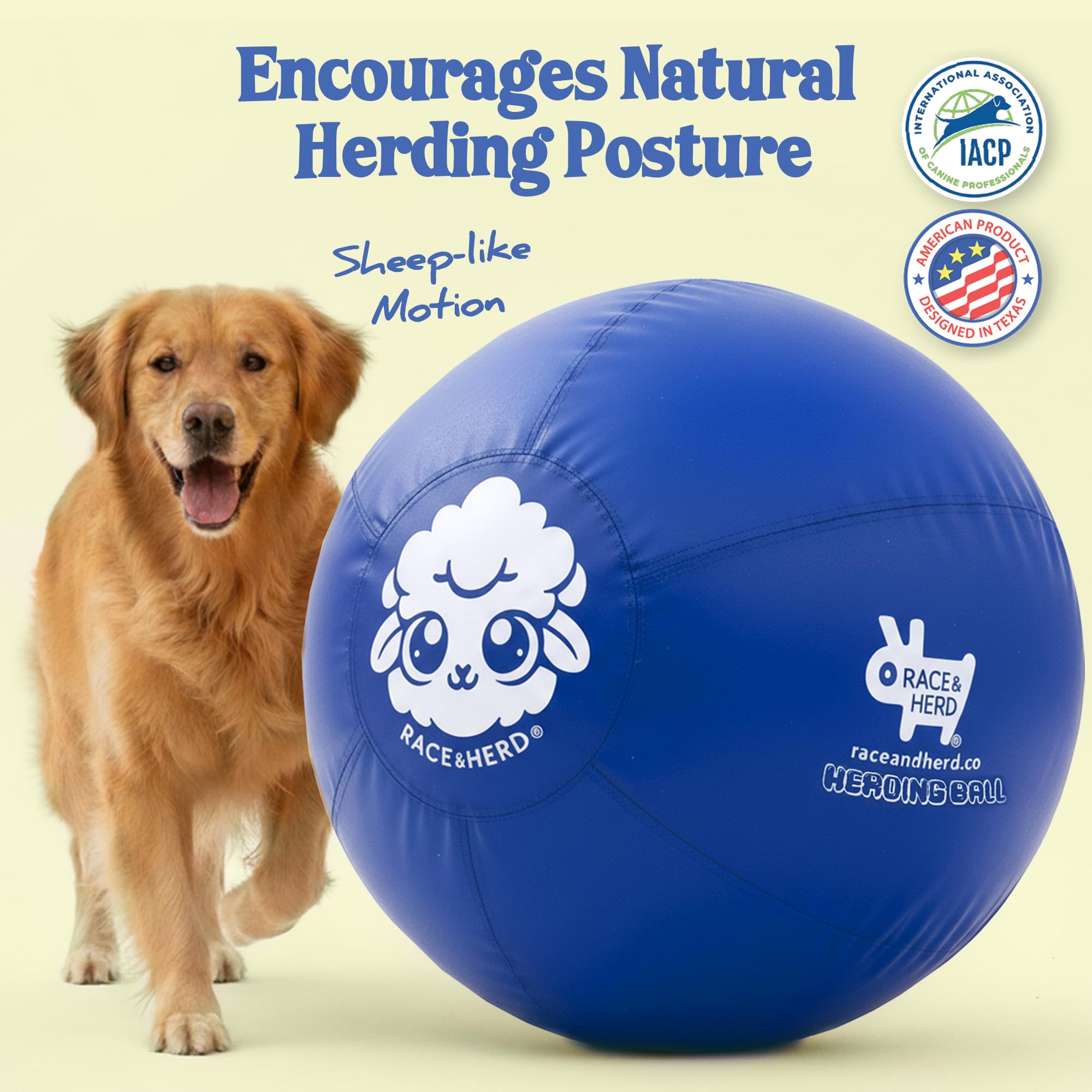 Race&Herd 30-inch XXL herding ball in blue, in motion during play
