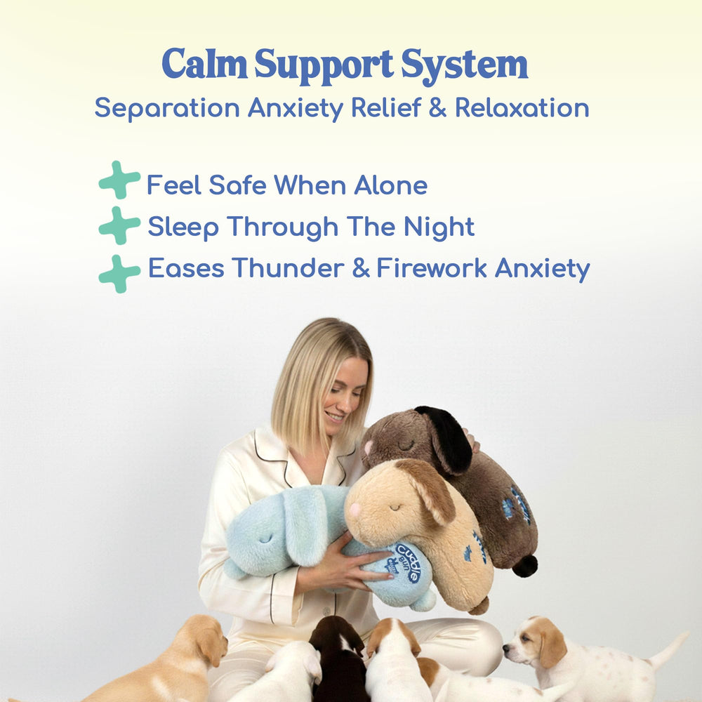 Race&Herd CuddleBun travel-friendly design shown for car trips and crate nights