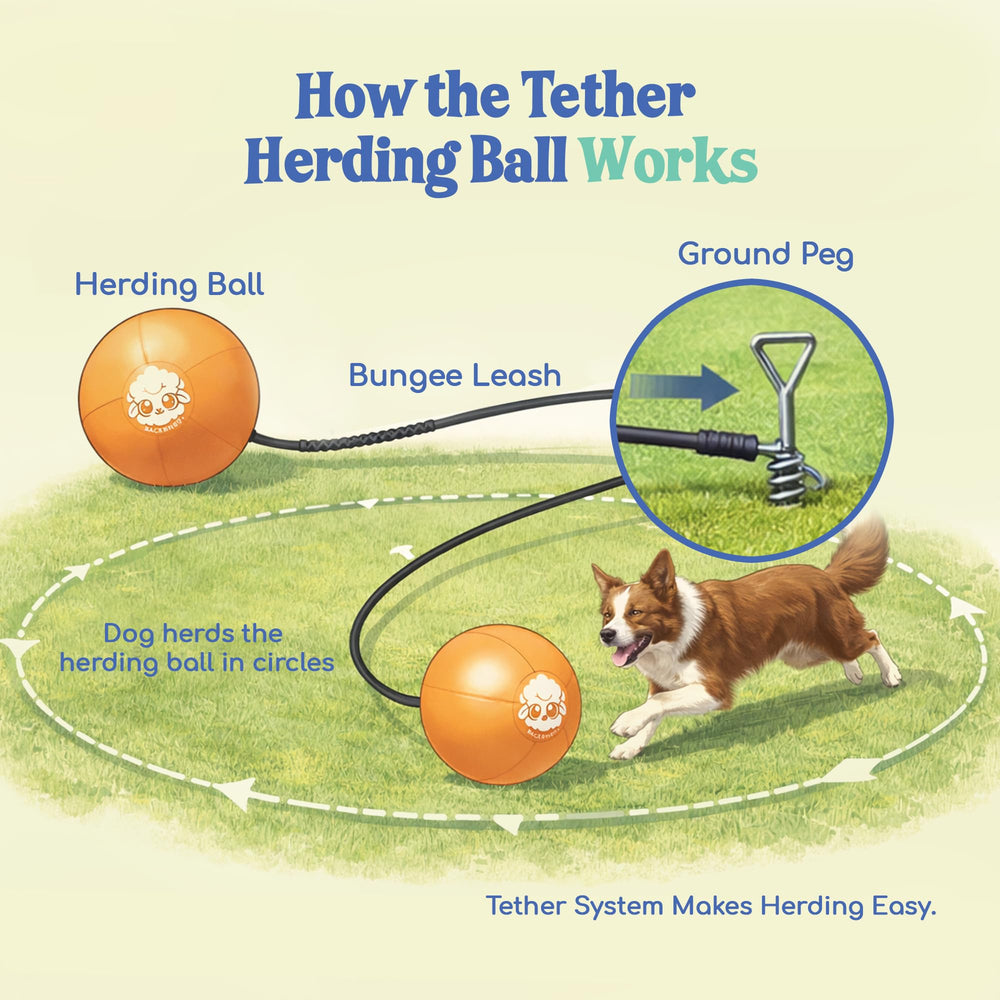 Race&Herd durable anti-burst rubber herding ball for dogs.