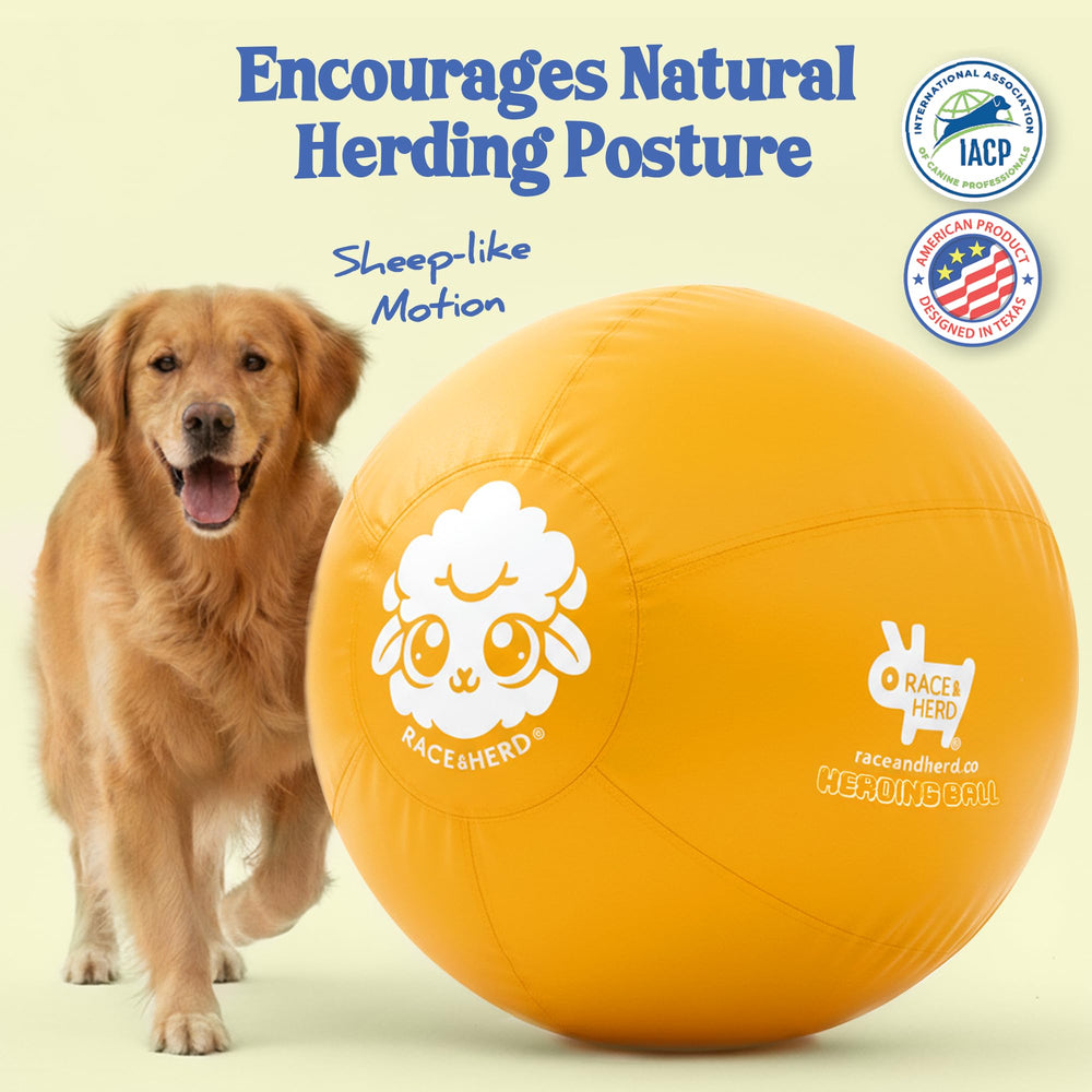 Close-up of durable rubber texture on Race&Herd giant dog ball.