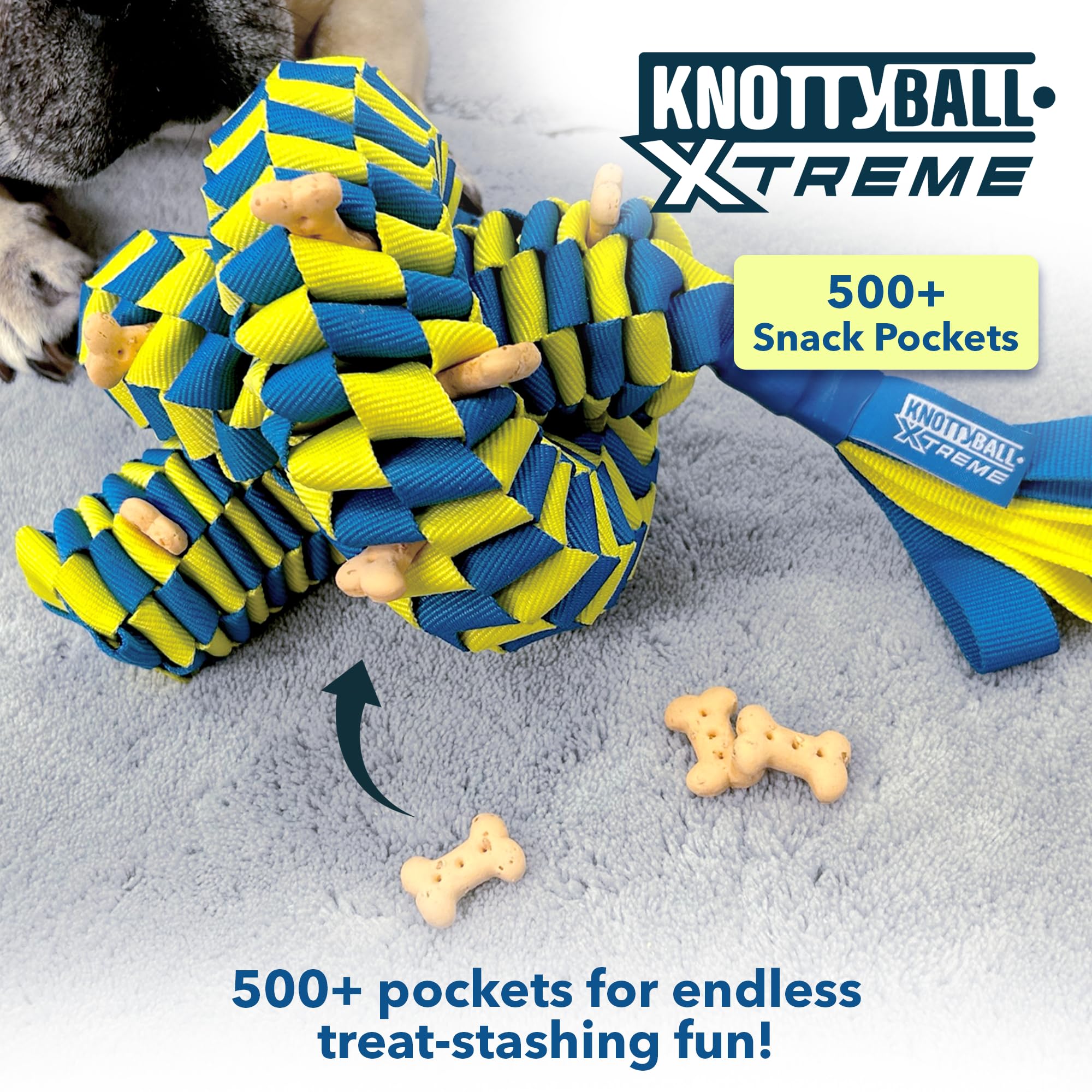 Race&Herd KnottyBall Xtreme used in training to boost focus and problem solving.