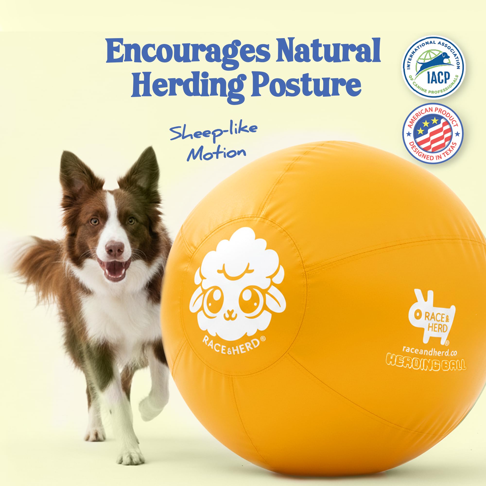 Race&Herd portable kit for backyard, beach, park, or camping.