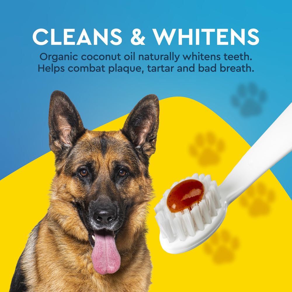 Radius dental kit toothbrush with soft bristles for gentle dog cleaning