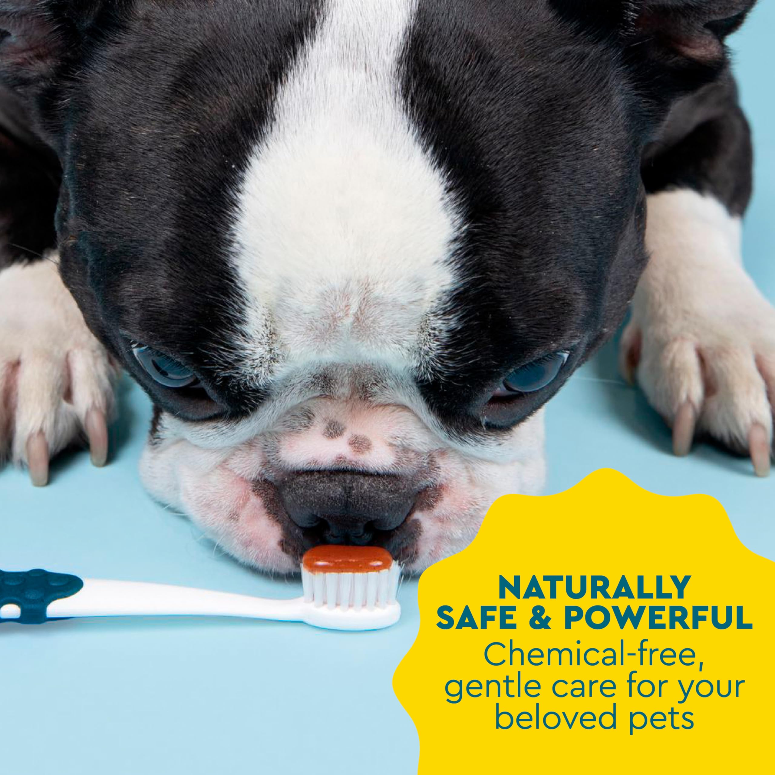 Radius storage case for dog dental kit made from recycled materials