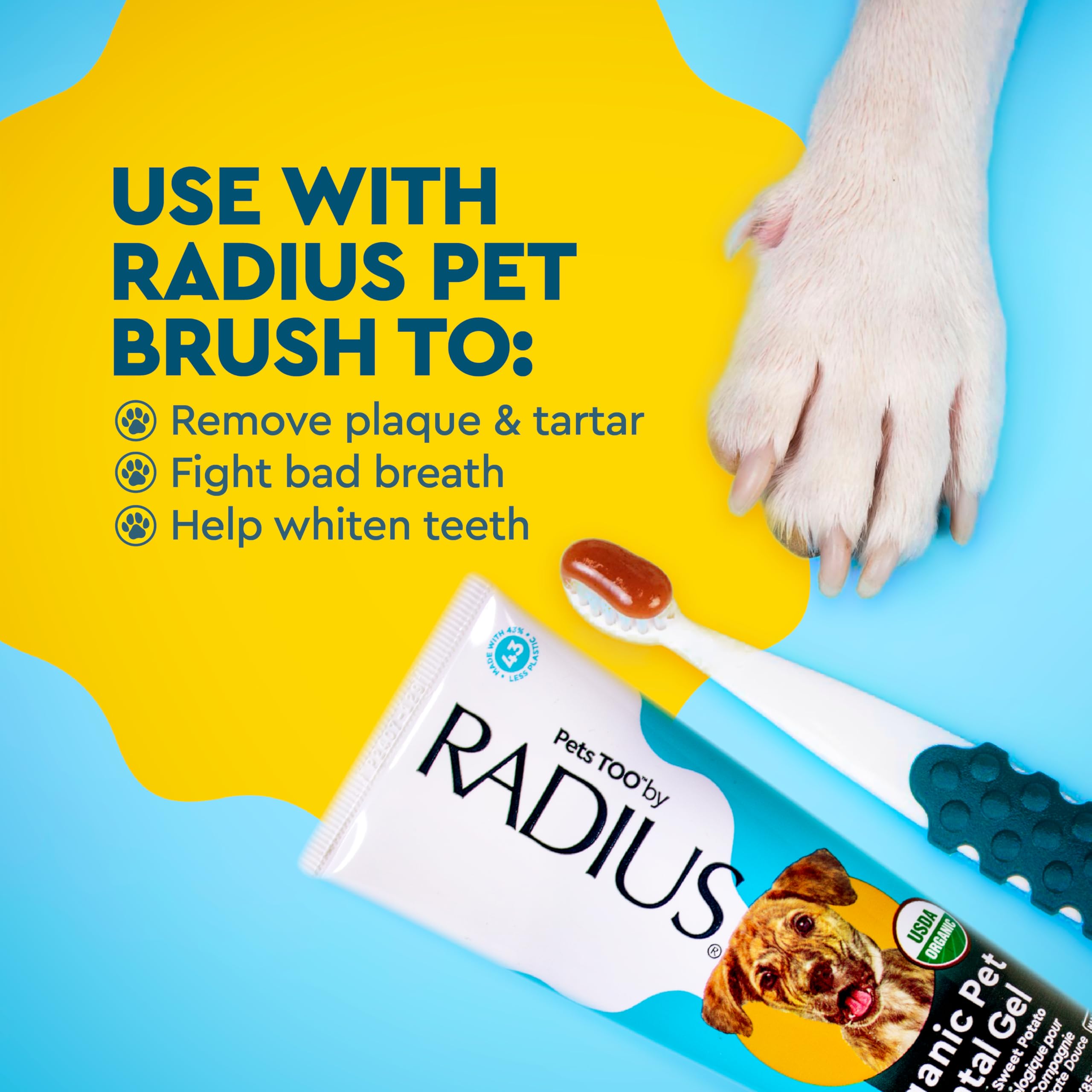 Radius cinnamon sweet potato toothpaste photographed on white background
