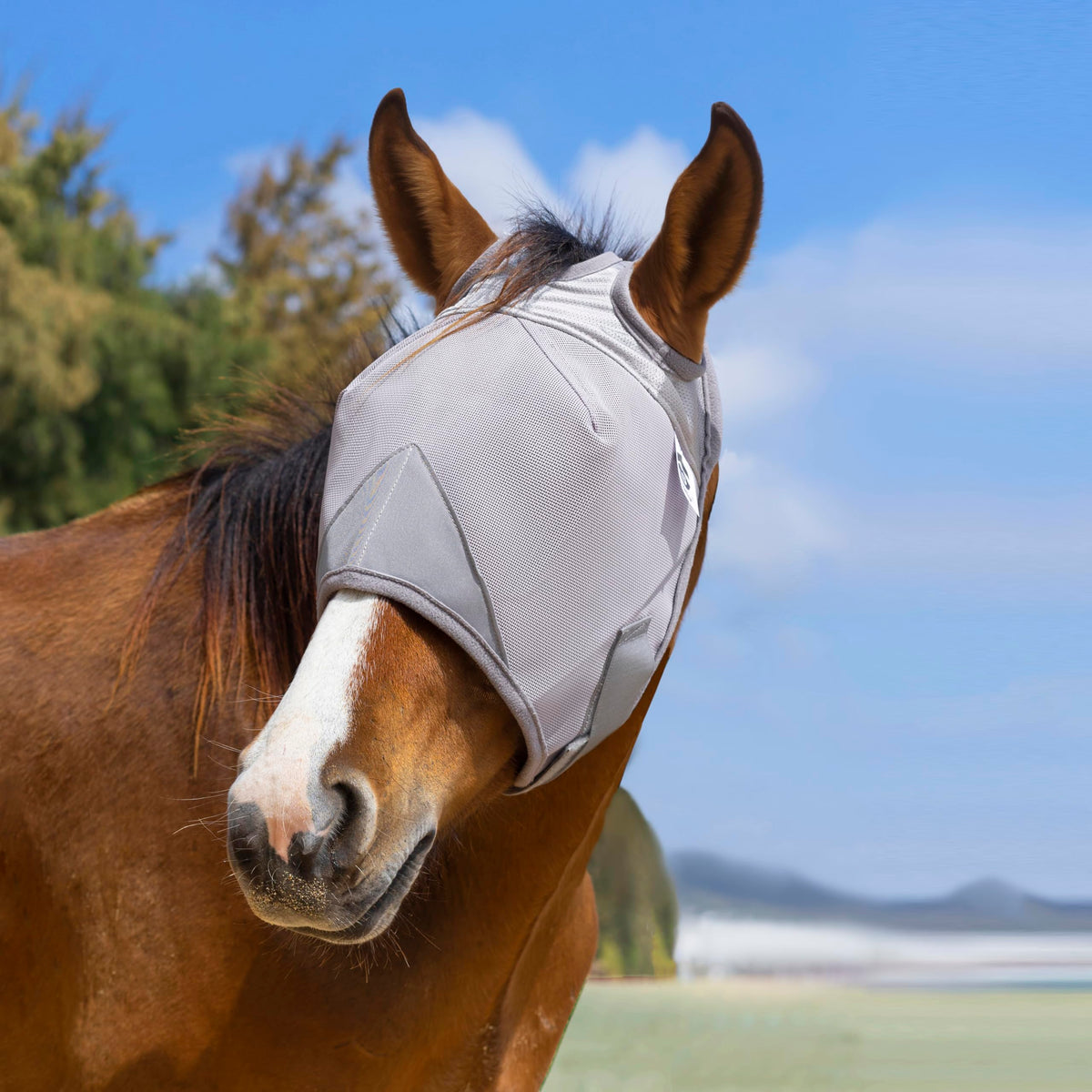 Raelitego horse fly mask adjustable-fit provides secure comfort during training.