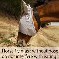 Raelitego breathable mesh design keeps a horse cool during training.