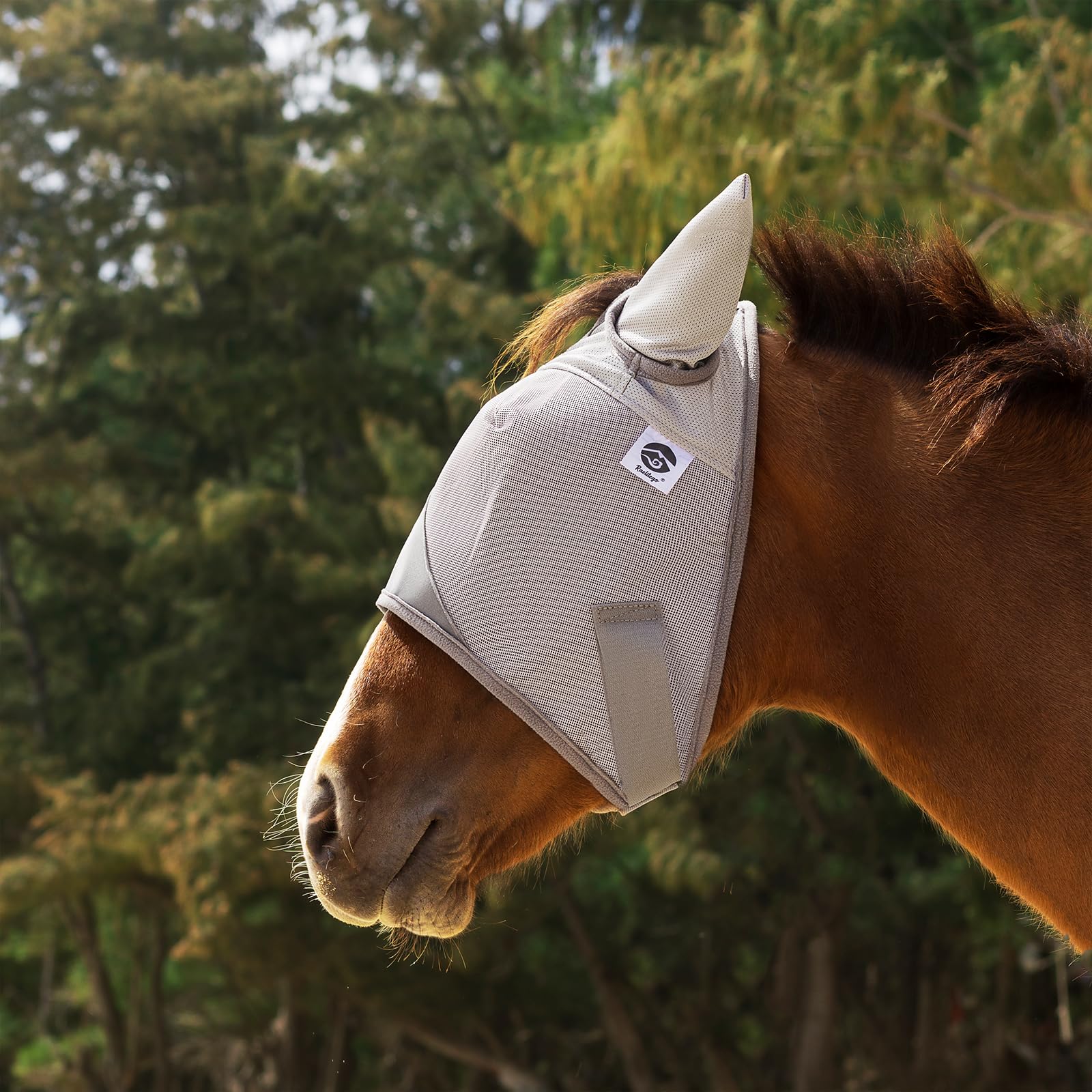 Raelitego soft-lined edges minimize mane tangling during active use.