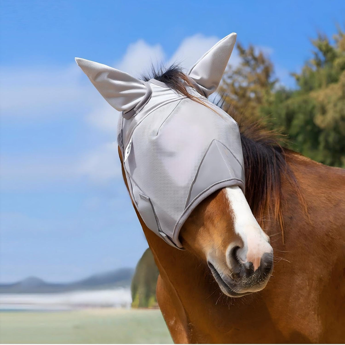 Raelitego horse fly mask with soft nylon micromesh provides gentle protection and clear vision.