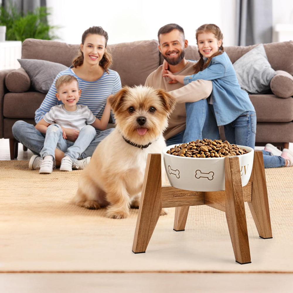 RAINBLELAND durable wooden stand helps reduce floor mess during feeding sessions.