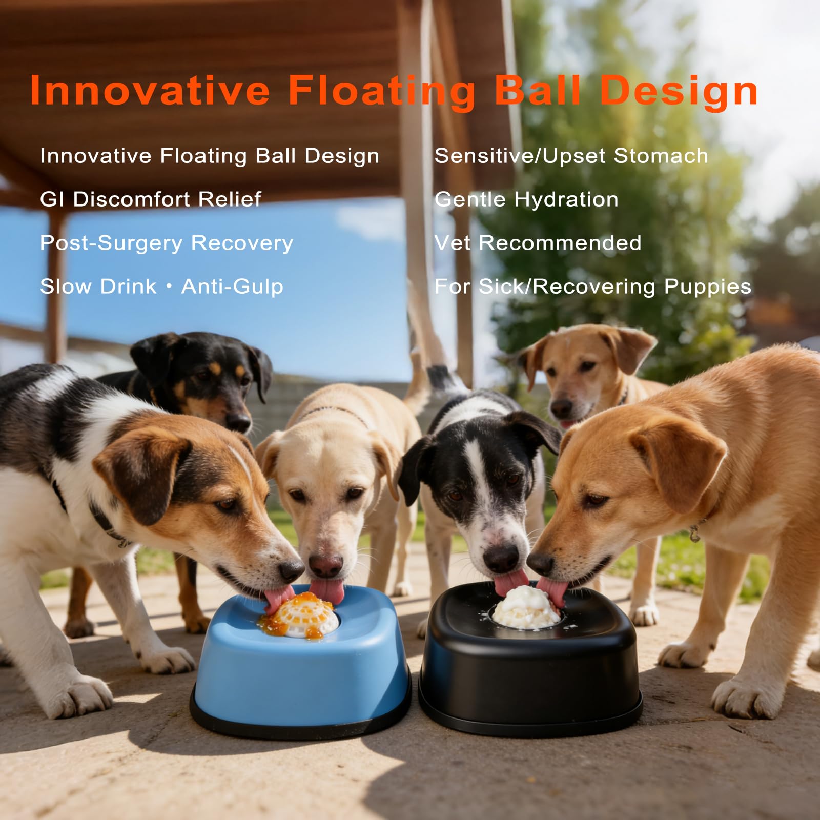 RAINWOOD black dog bowl offers durable enrichment for diverse breeds