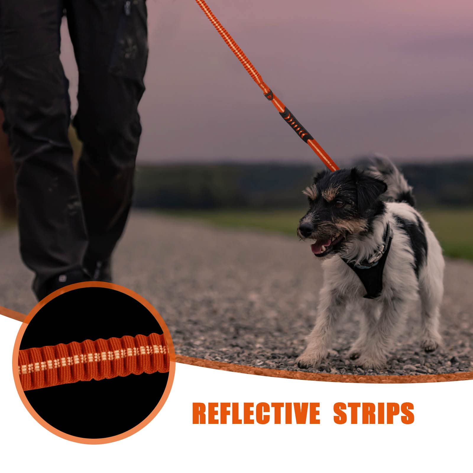 Raipult leash with reflective threads for night visibility