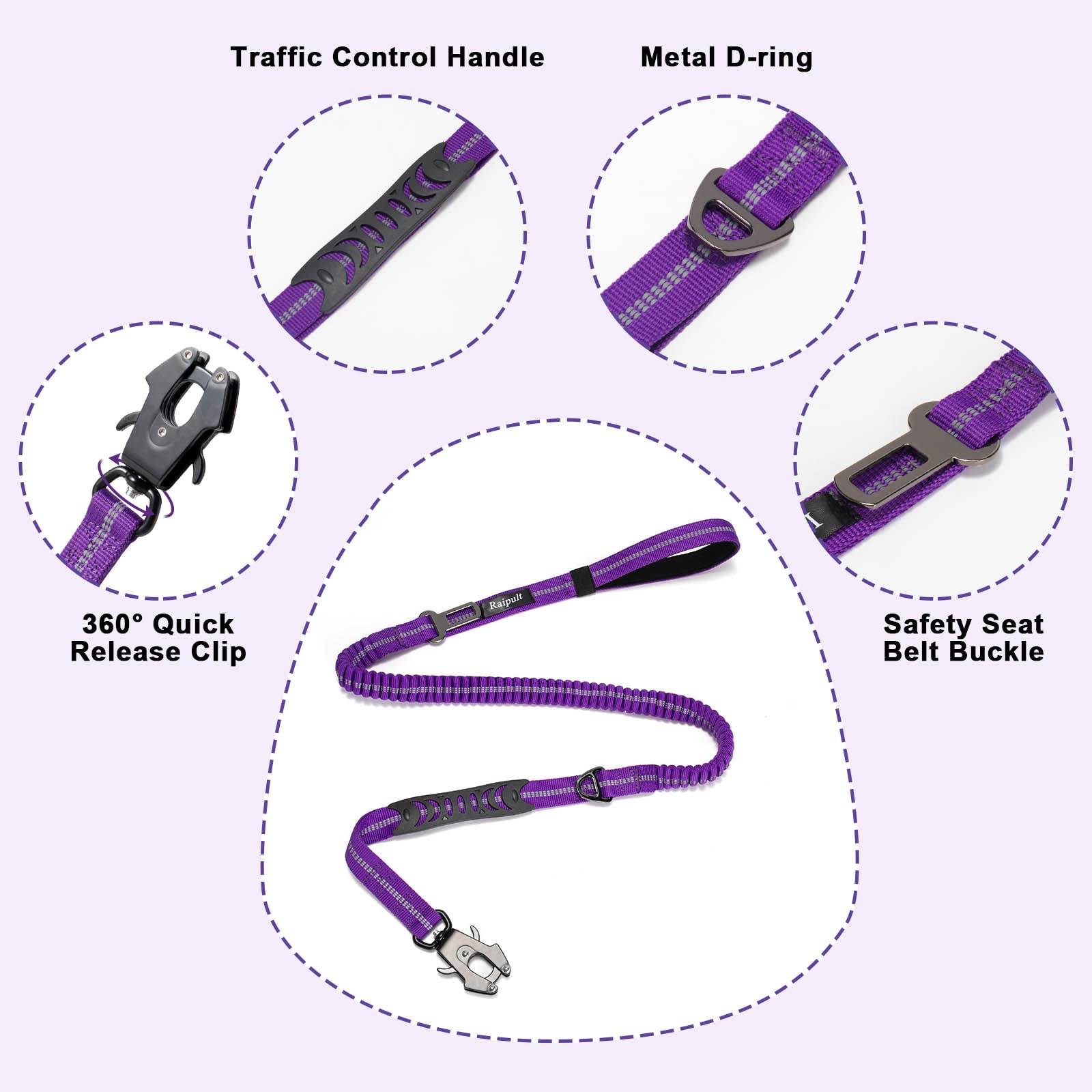 Raipult elastic bungee dog leash demonstrating stretch to absorb sudden pulls.