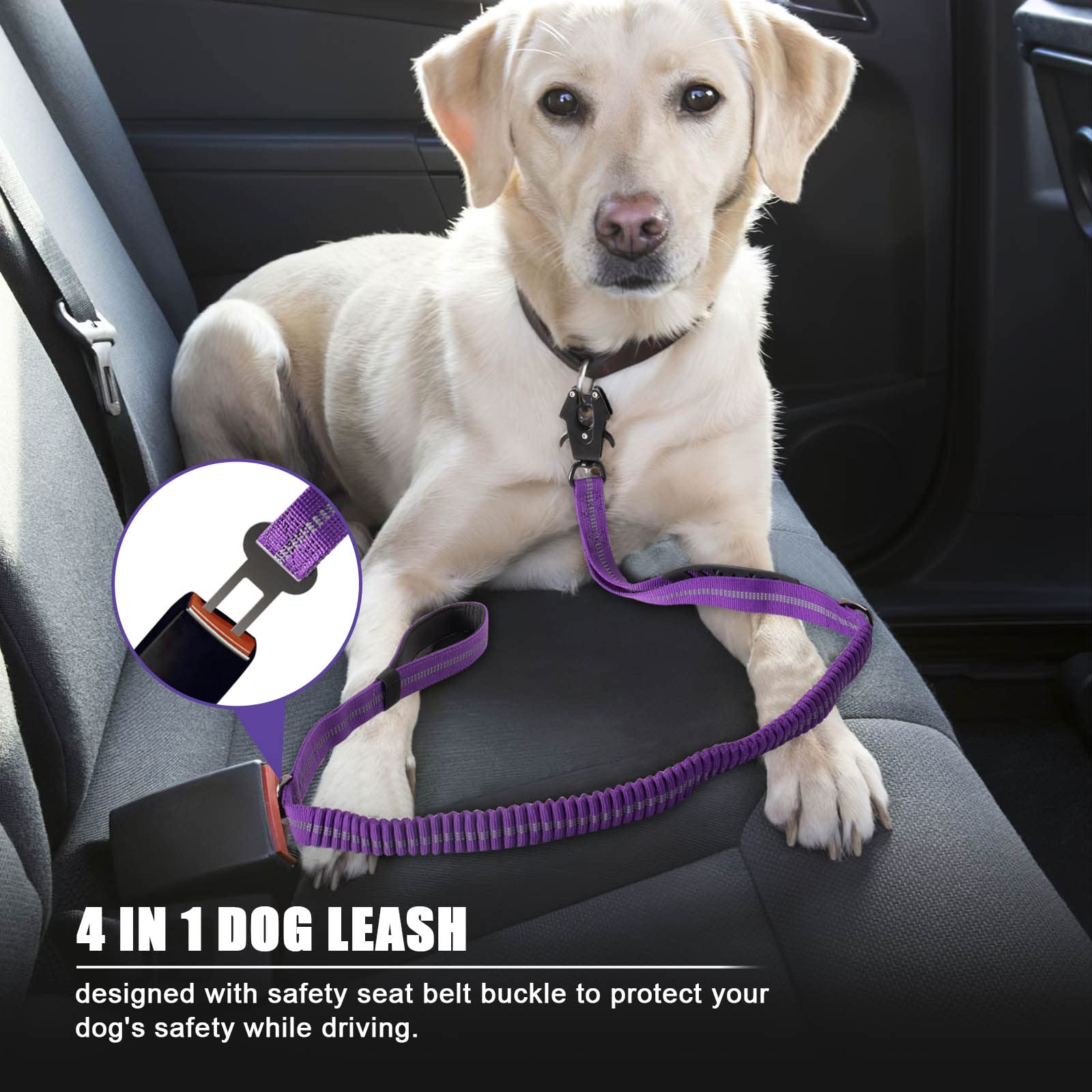 Raipult seatbelt buckle leash feature for driving safety and on-the-go dogs.