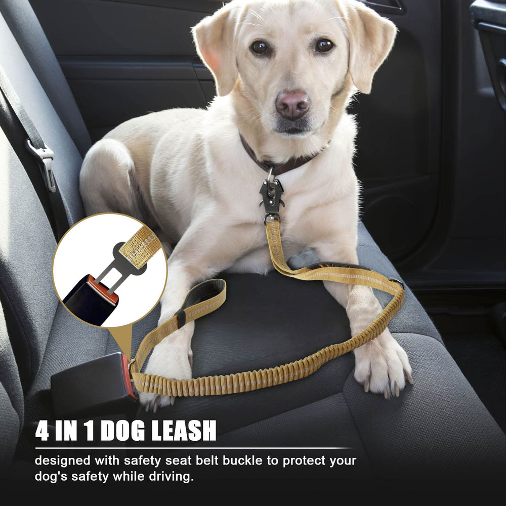 Raipult reflective threads leash: enhanced night visibility for safer walks