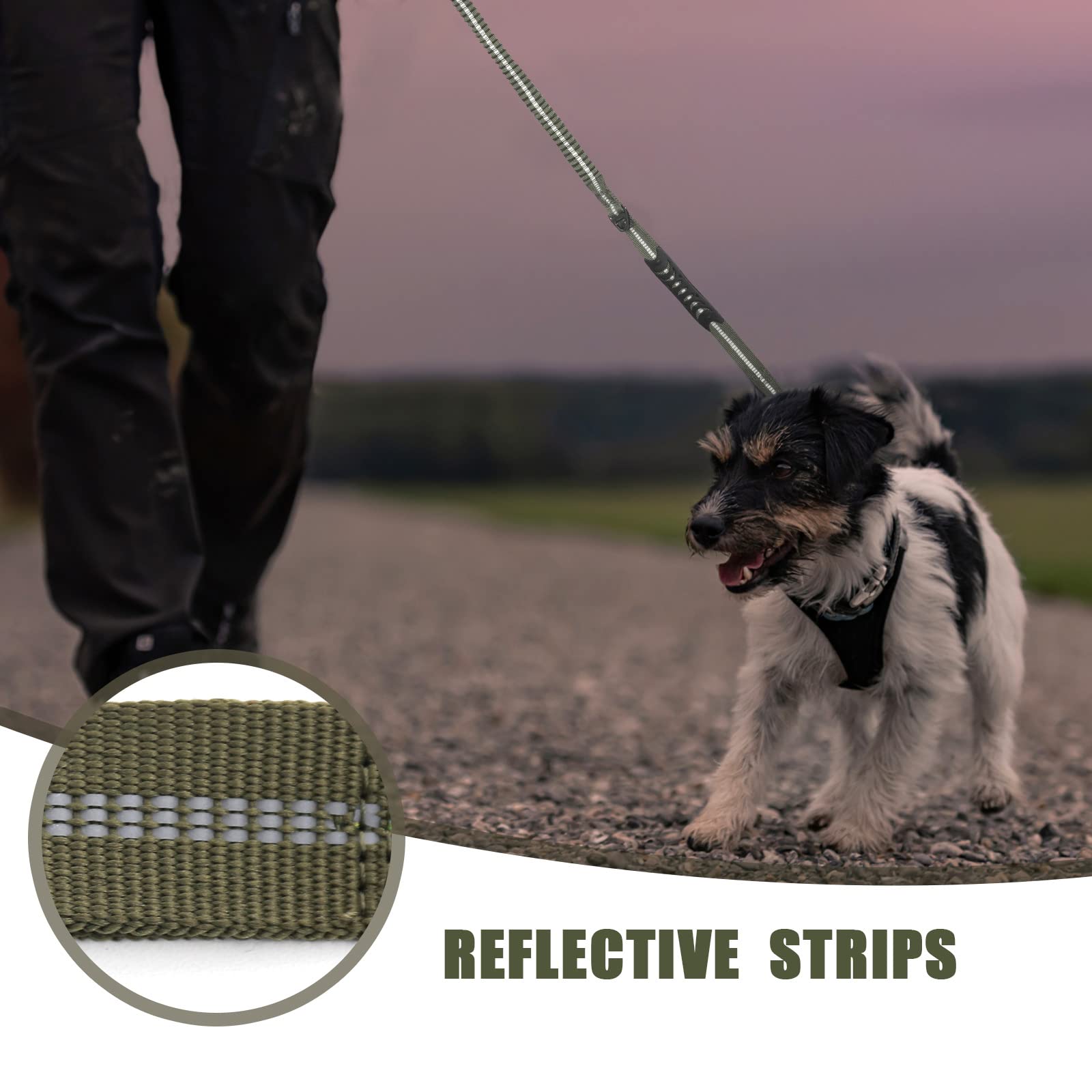Raipult Tactical Dog Leash seatbelt buckle for car safety.