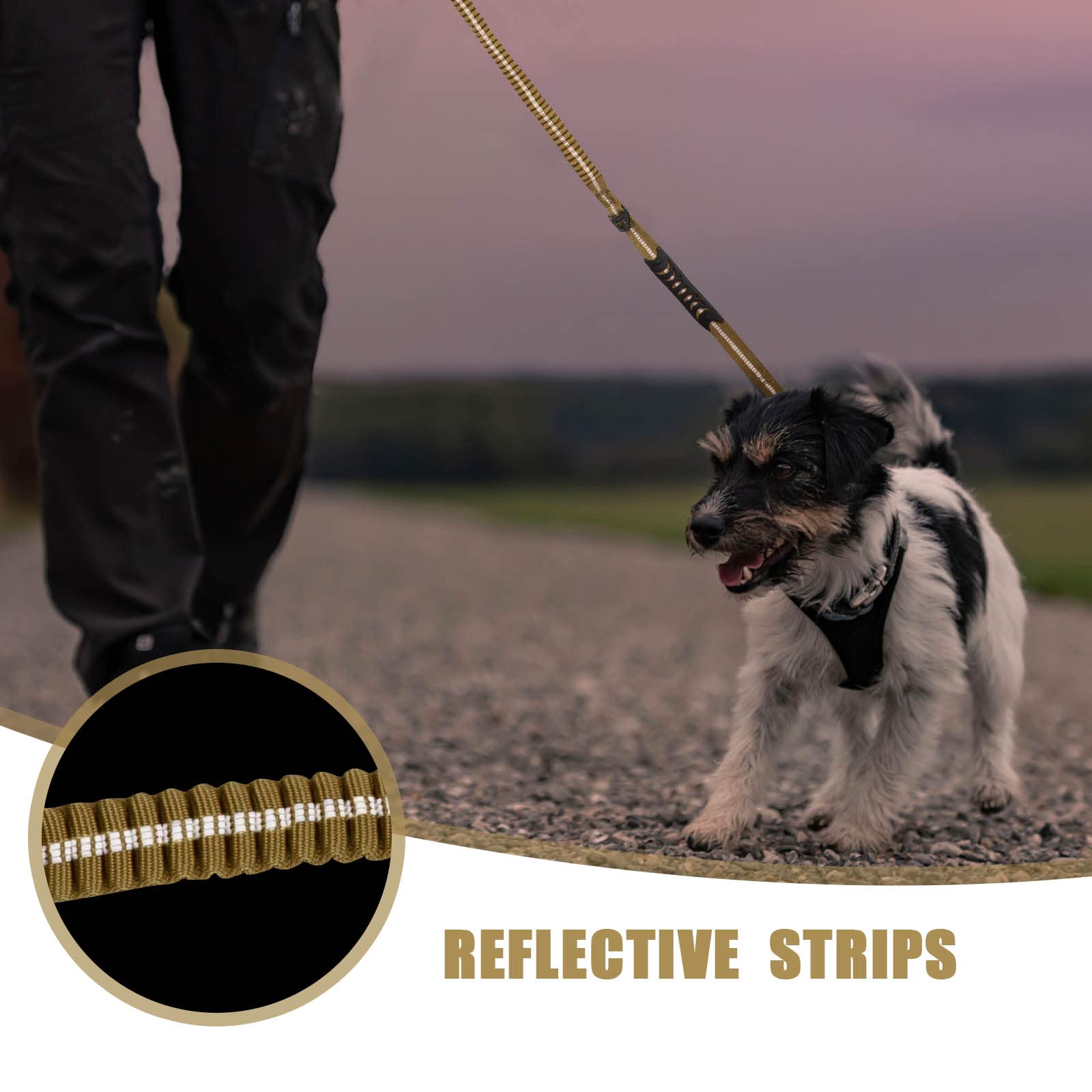 Raipult seatbelt clip leash: car rides with added dog safety