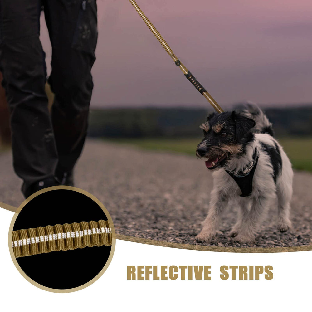 Raipult seatbelt clip leash: car rides with added dog safety