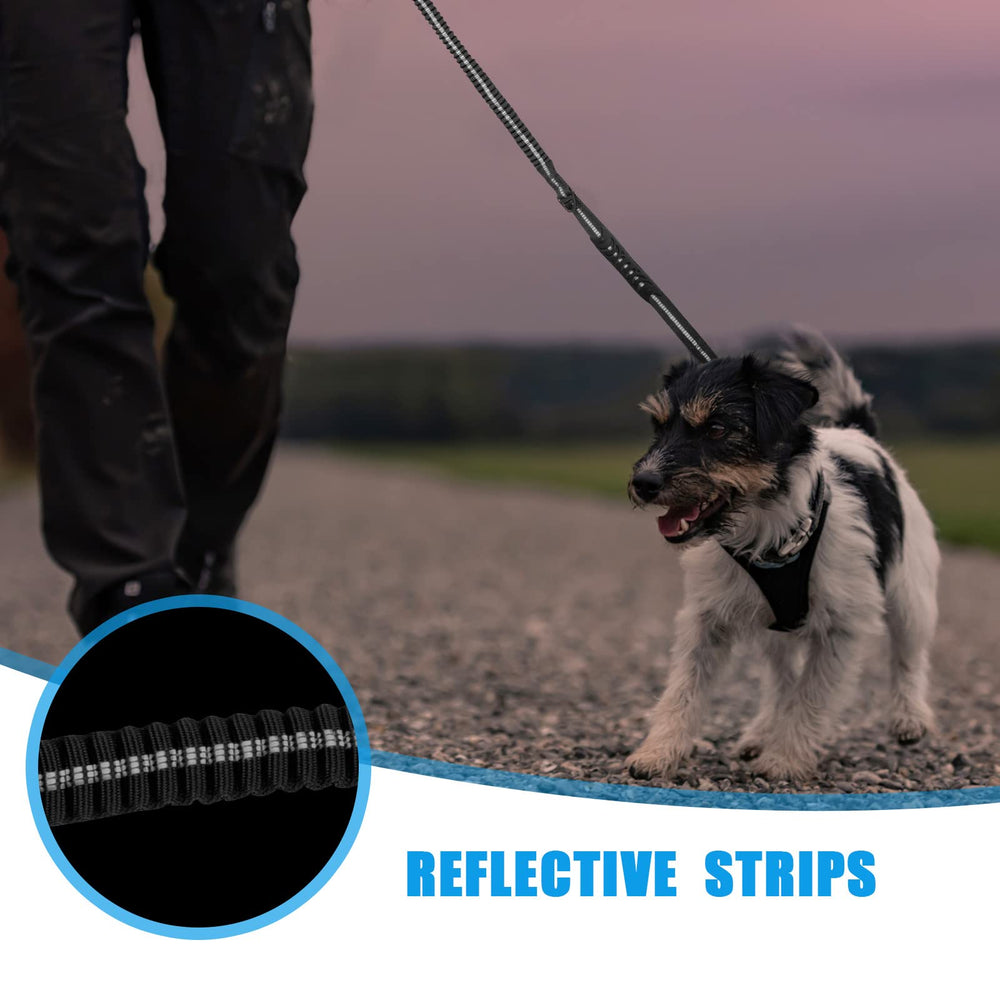Raipult seat belt buckle; keeps your dog secure in a moving vehicle.