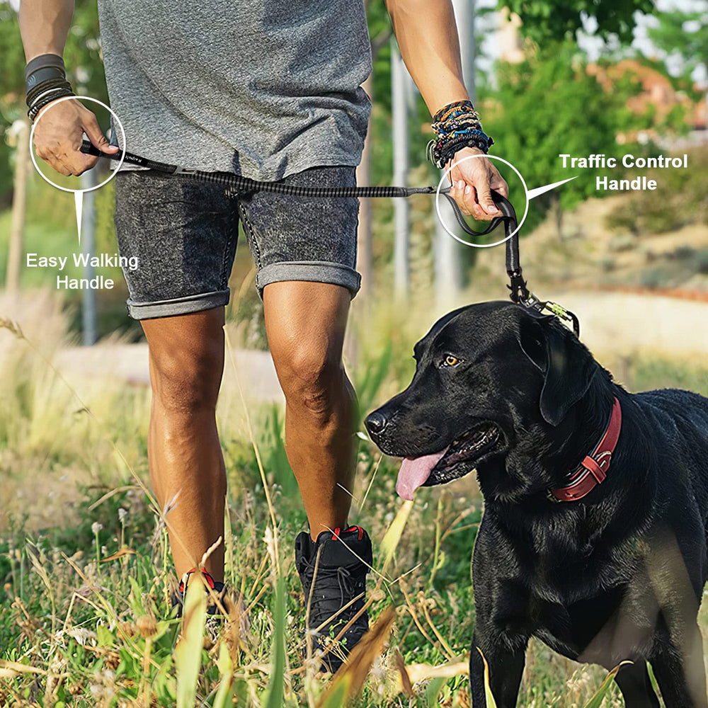 Raipult reinforced nylon with X stitches; durable design for large dogs' daily use.