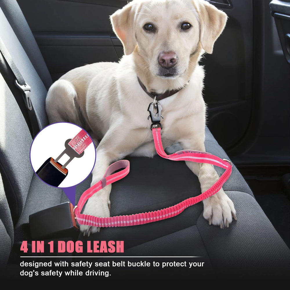 Three reflective threads on the leash boost nighttime visibility.
