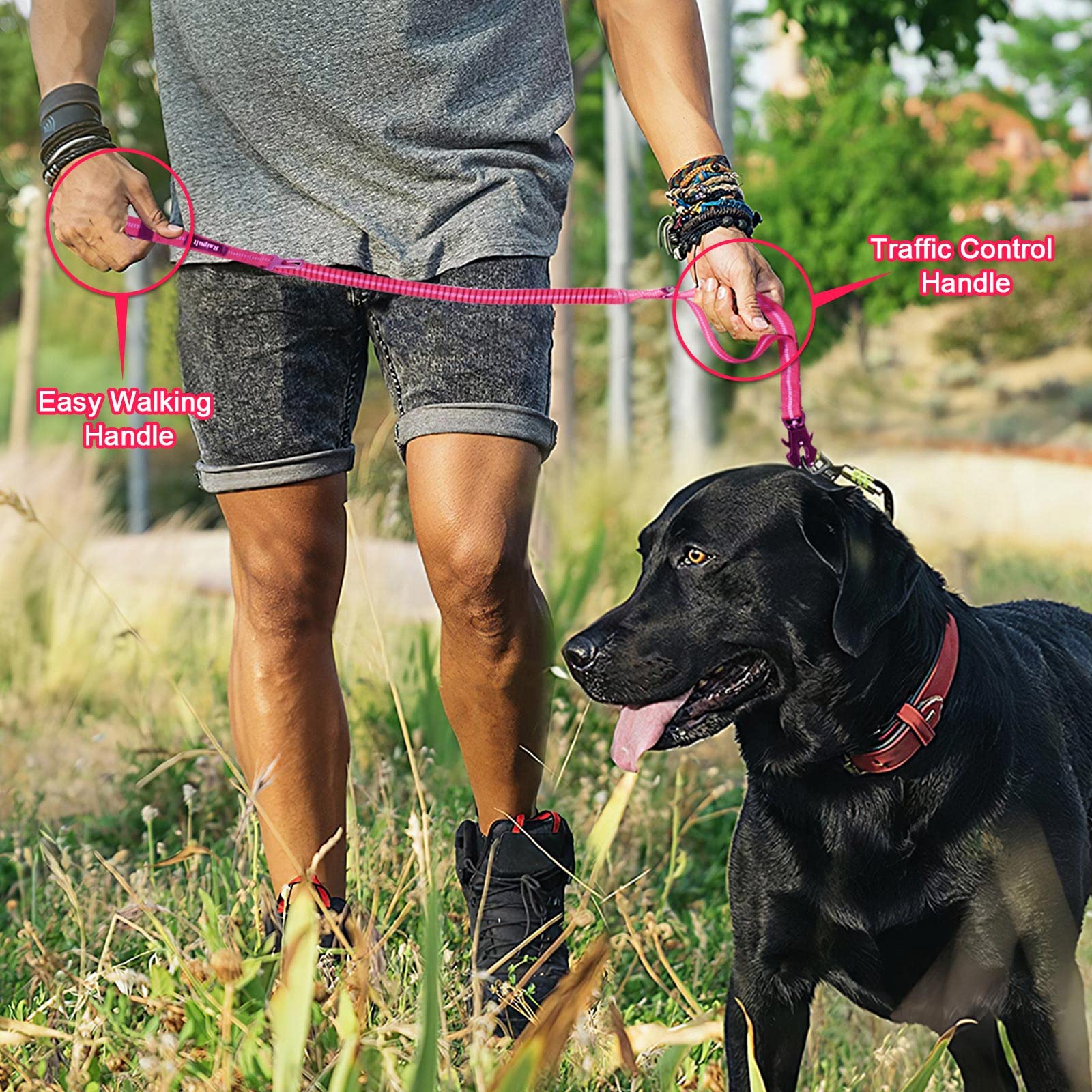 Durable reinforced stitching withstands pulling from large breeds.