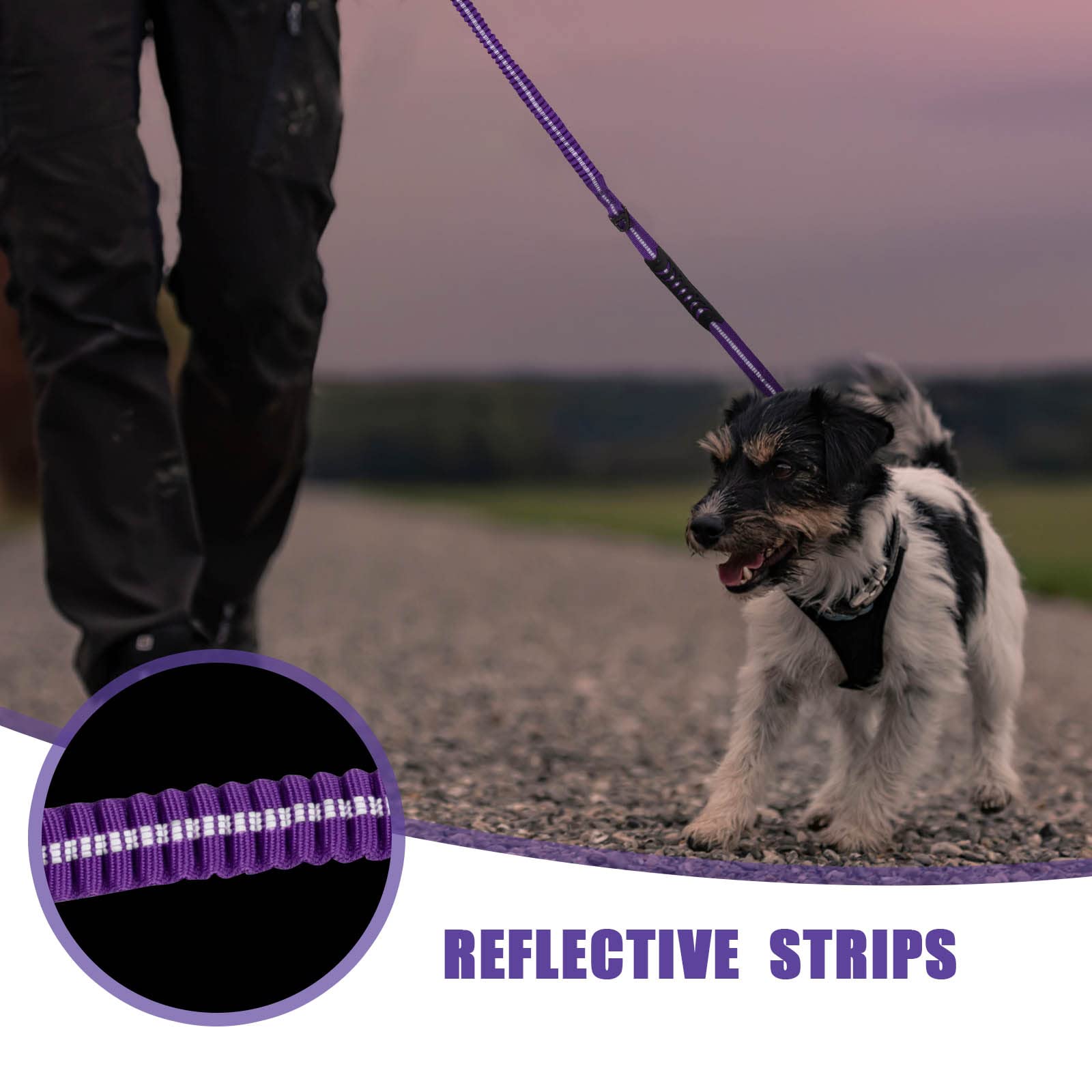 Raipult wear-resistant nylon with reinforced stitching for durable medium to large dogs.