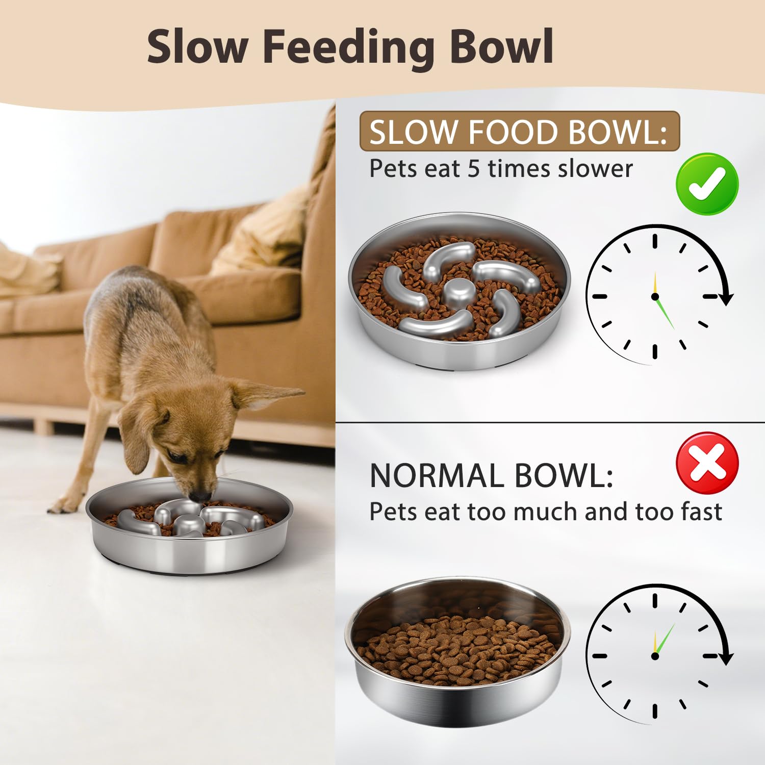 Ralory dishwasher-safe dog bowl for quick, simple cleanup.