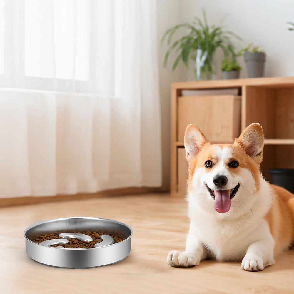 Ralory slow feeder bowl with non-slip base protects floors during meals
