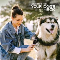 Ram-Pro collar with adjustable links for easy resizing and secure fit