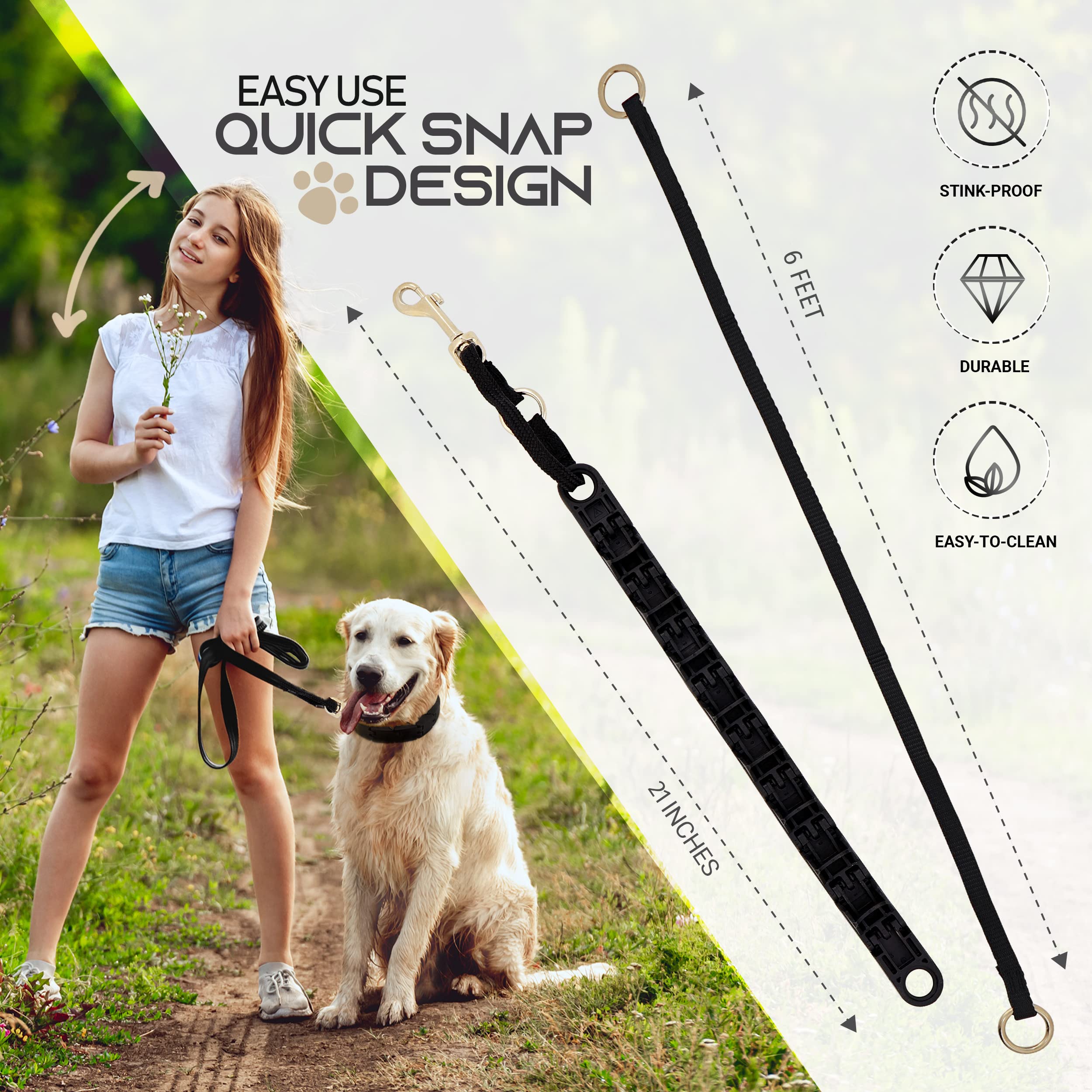 Ram-Pro seven-level system displayed on collar for progressive training