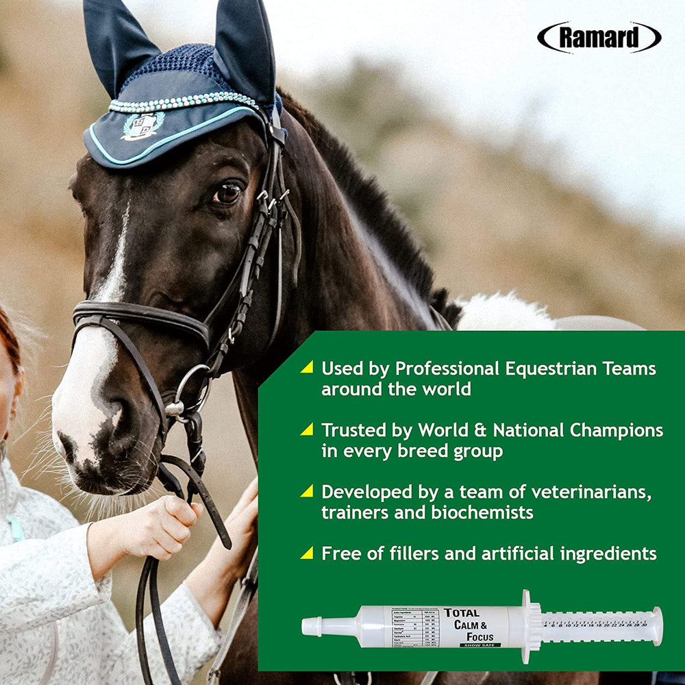 Ramard Total Calm and Focus training scene showing a calm horse and attentive rider