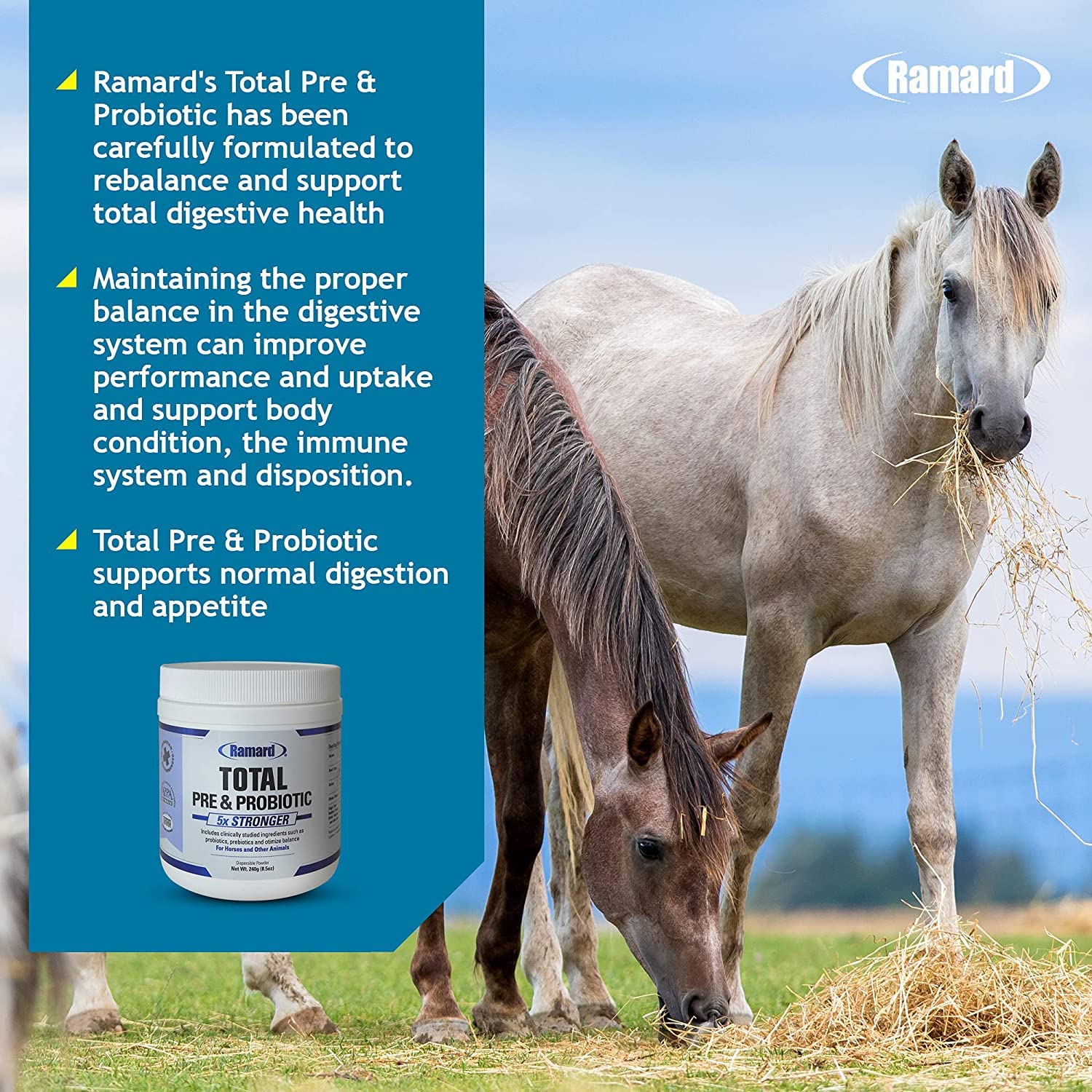 Close-up of Ramard label showing veterinarian-designed equine gut health blend