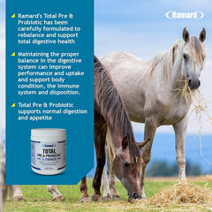 Close-up of Ramard label showing veterinarian-designed equine gut health blend