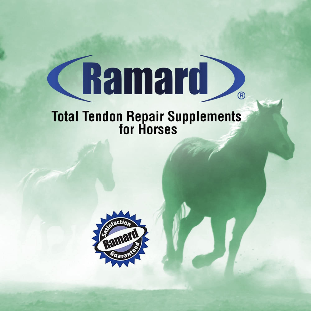 Ramard Total Tendon Repair being mixed into horse feed for daily use.