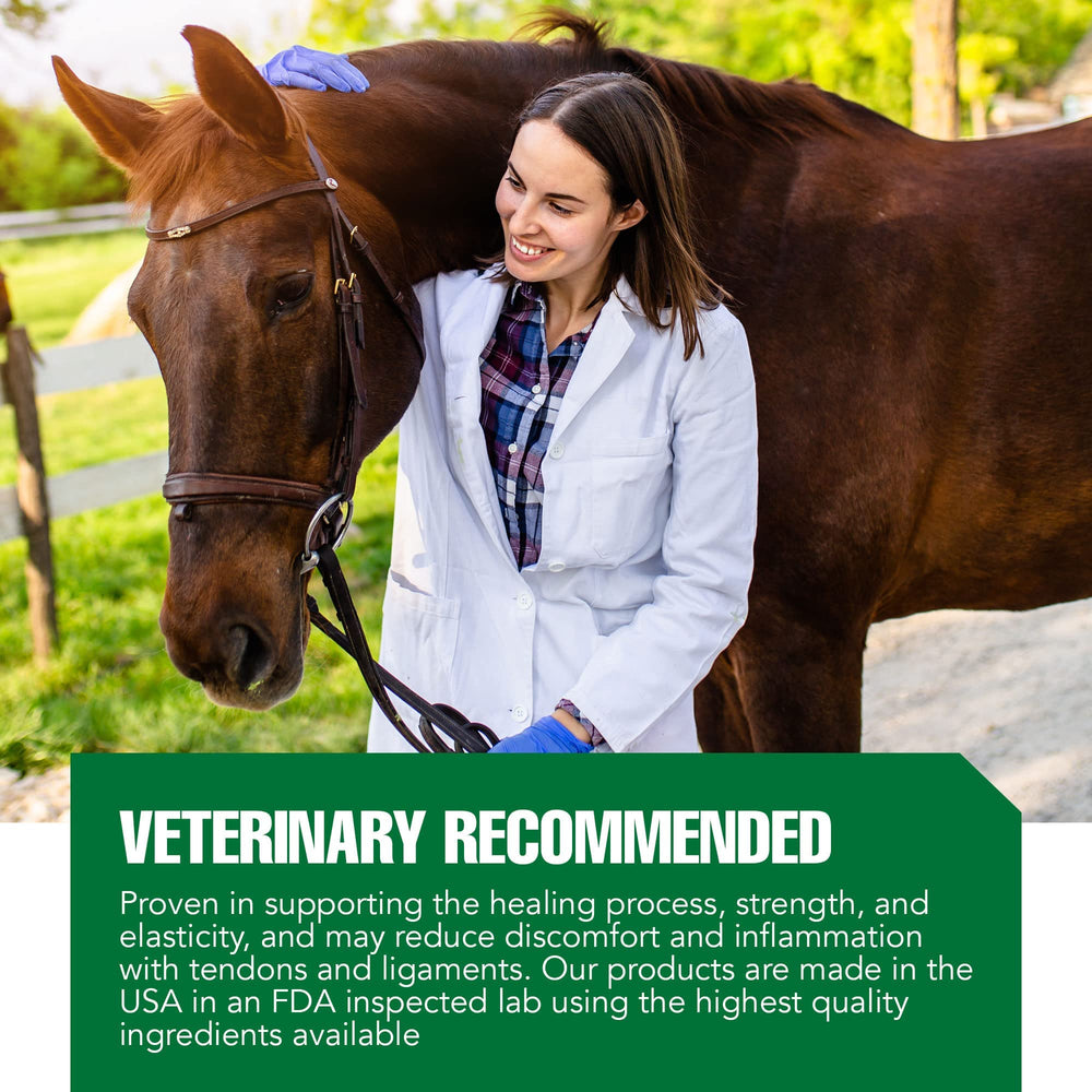 Ramard Total Tendon Repair equine supplement powder supporting tendon and joint care.