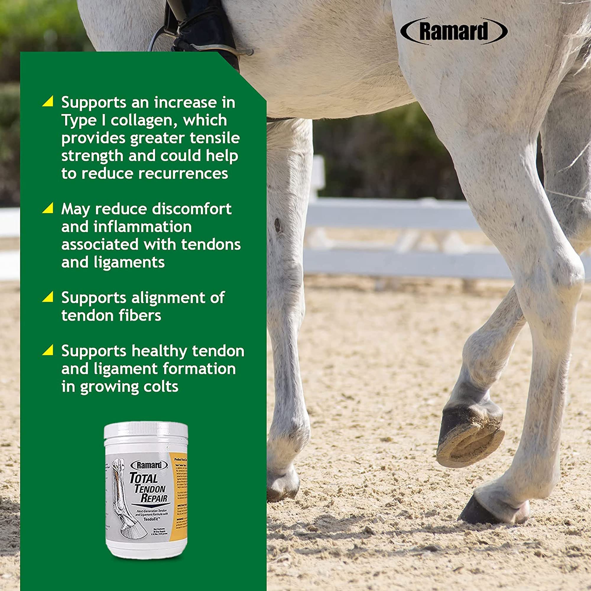 Ramard Total Tendon Repair powder with scoop for convenient daily dosing.