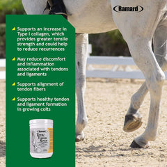 Ramard Total Tendon Repair powder with scoop for convenient daily dosing.