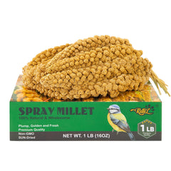 RANZ 1LBS spray millet treat close-up, a natural bird snack for daily enrichment.