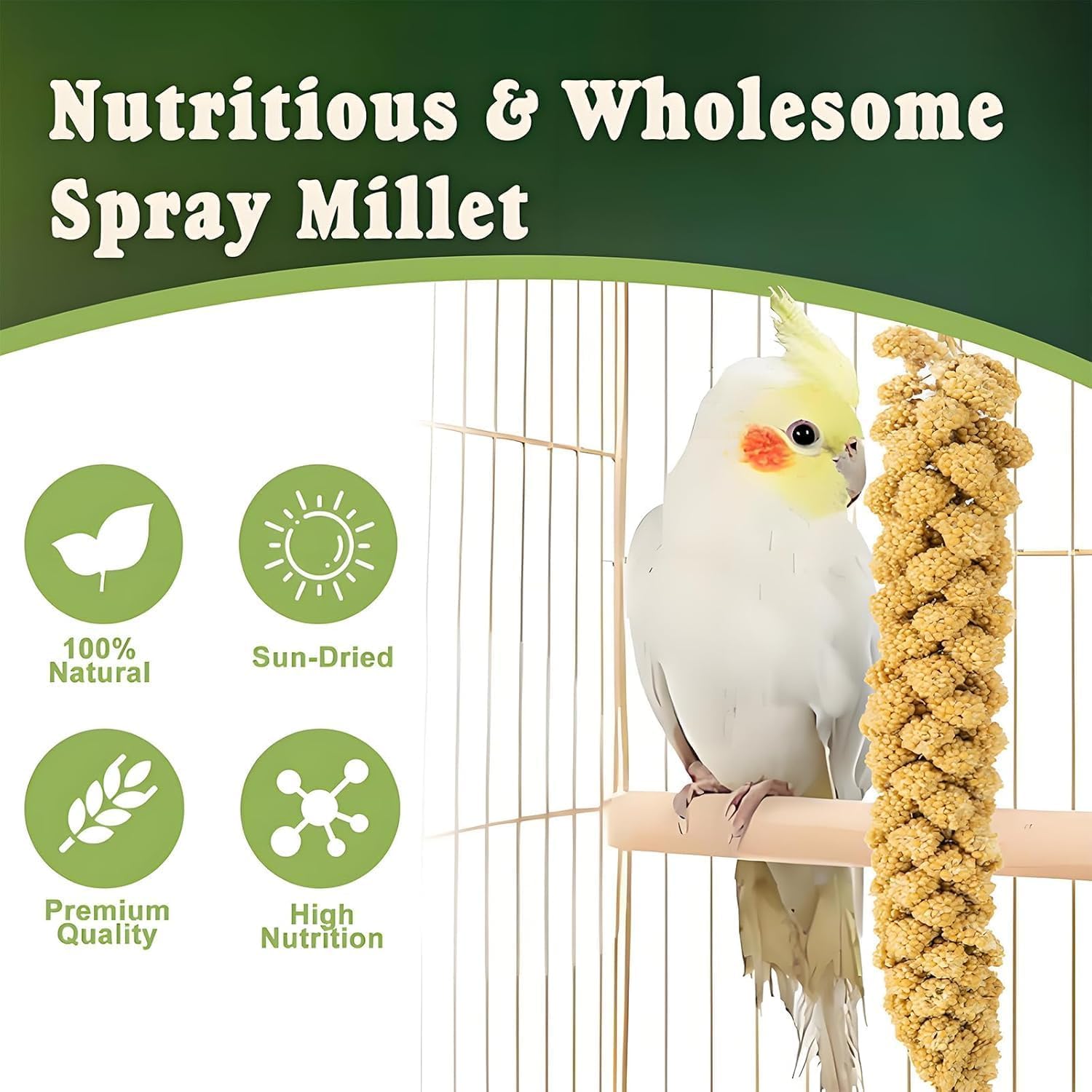 RANZ cockatiel and finches with millet snack, supporting small-bird diets and daily treats.
