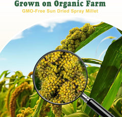 RANZ millet spray promotes natural foraging and exercise in birds.