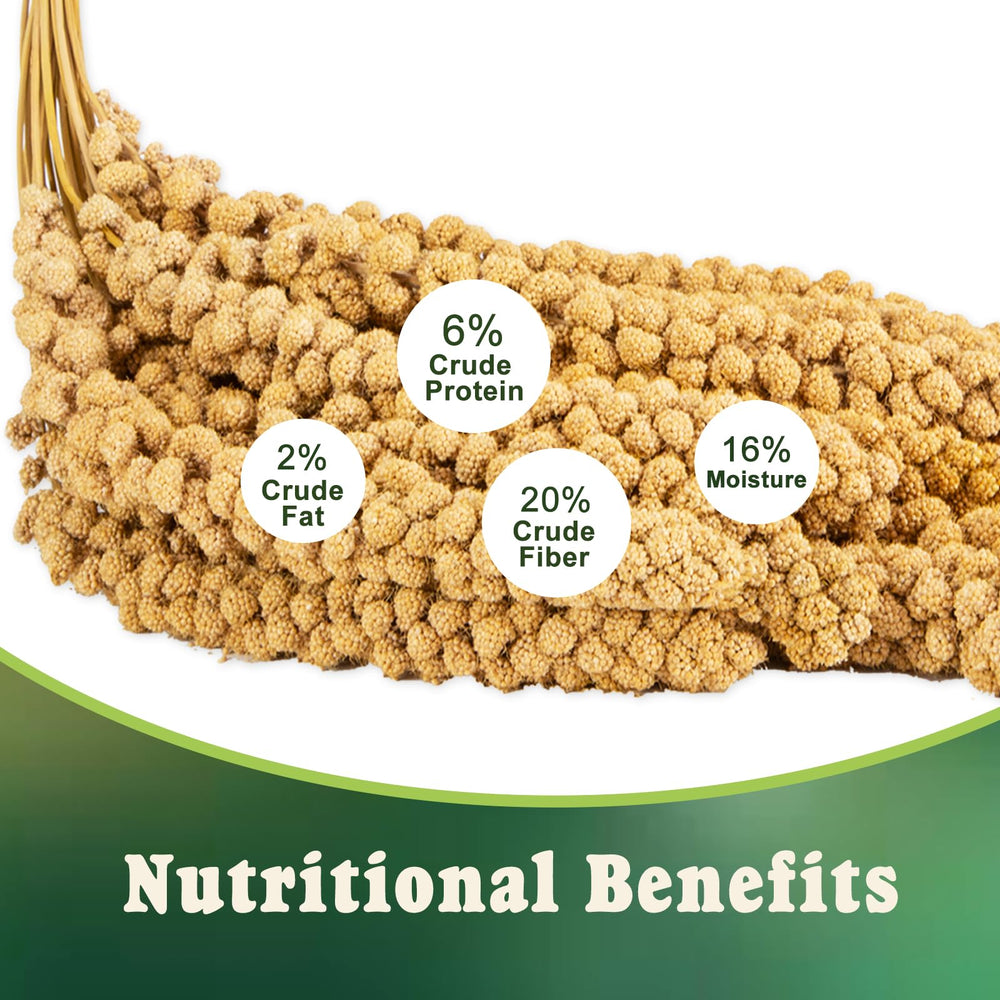 RANZ hand-picked millet spray for easy feeding and foraging.