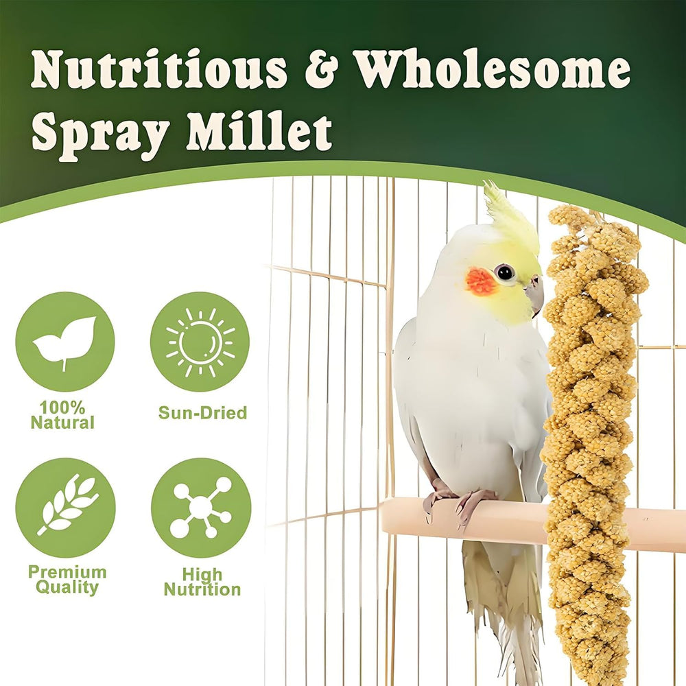 RANZ natural sun-dried millet spray preserves taste and aroma.