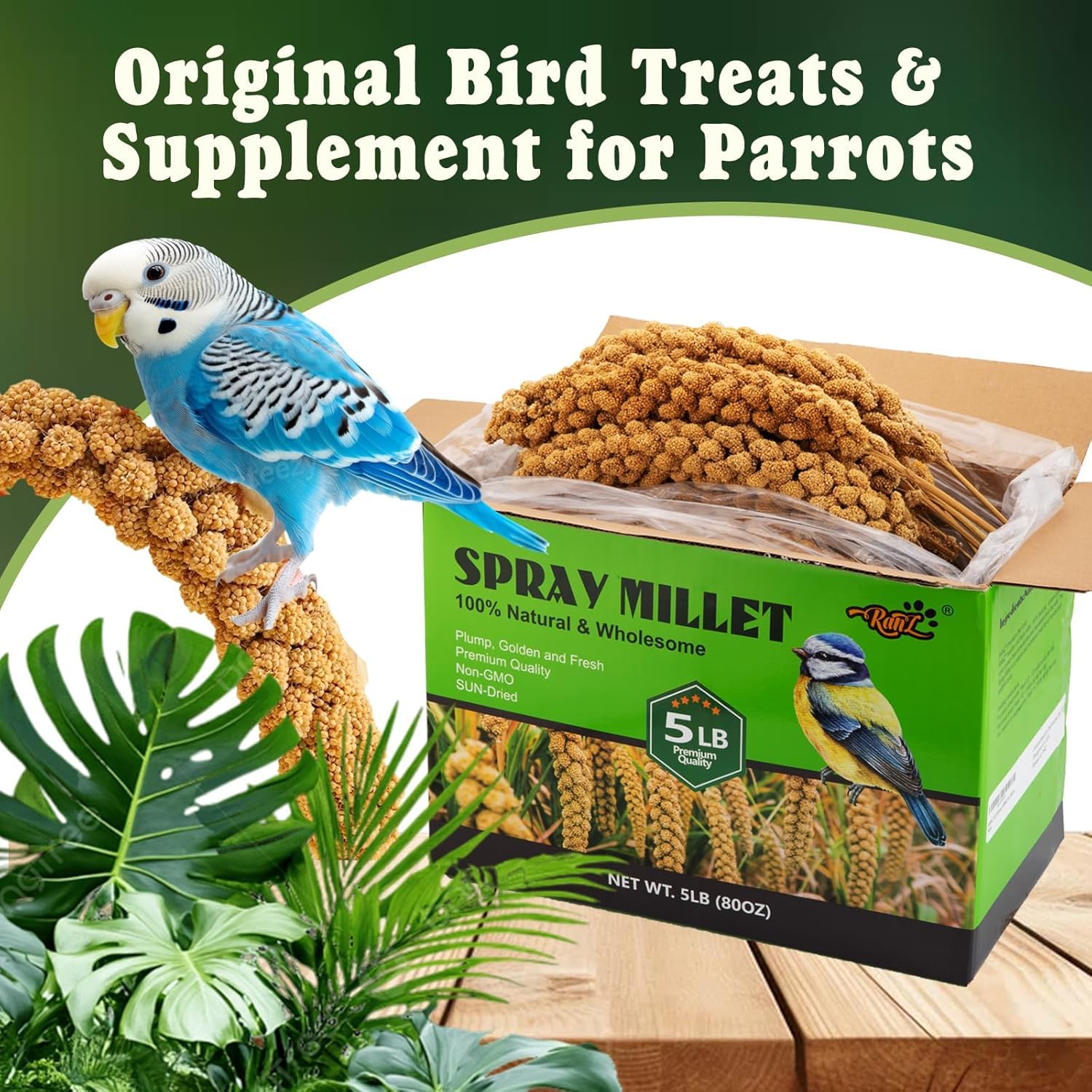RANZ small-bird friendly snack aids daily enrichment.