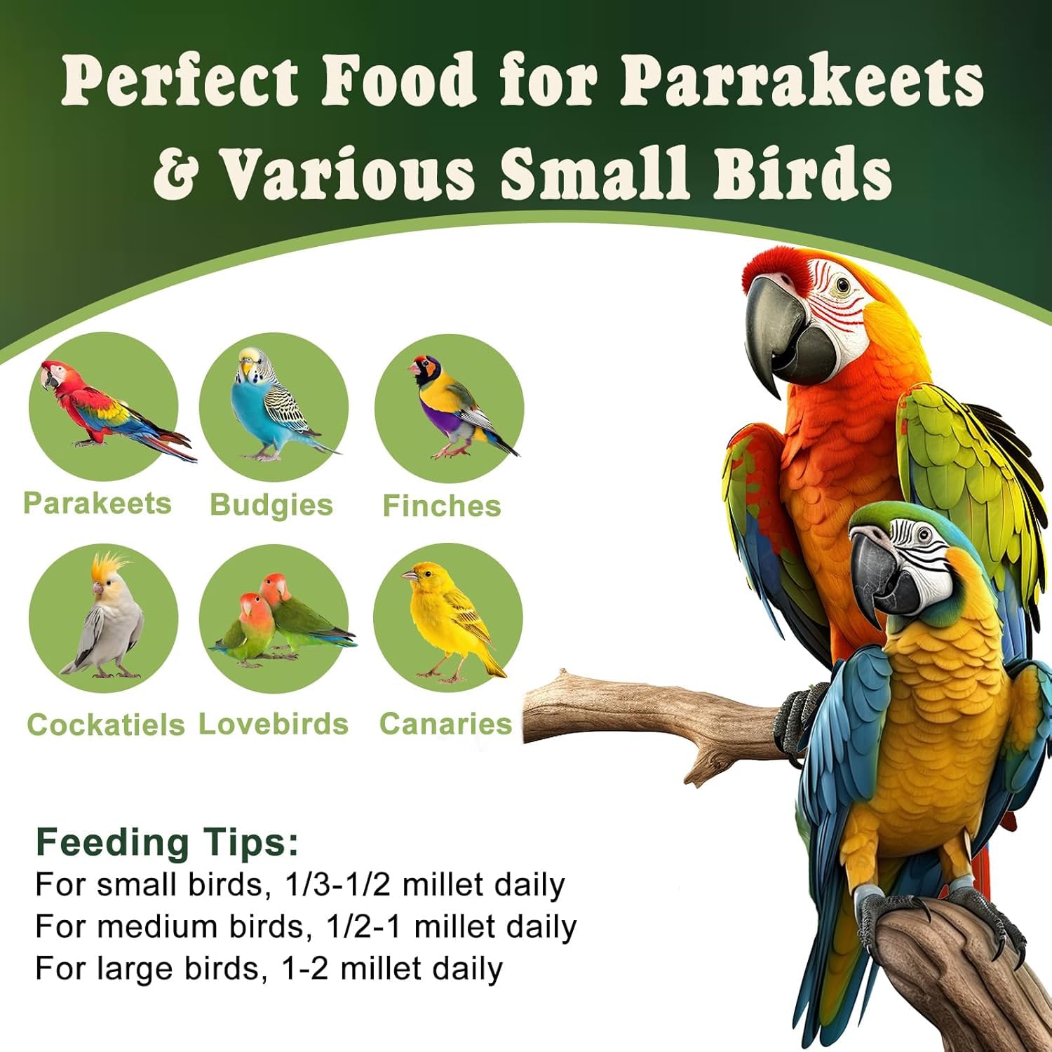 RANZ millet spray suitable for parakeets, canaries, and cockatiels.