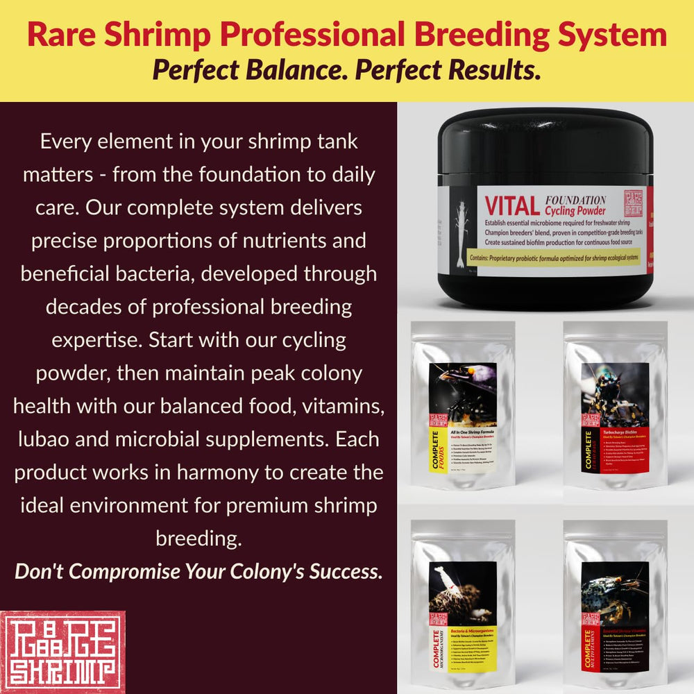 Rare Shrimp professional breeders trust bag in breeding setup
